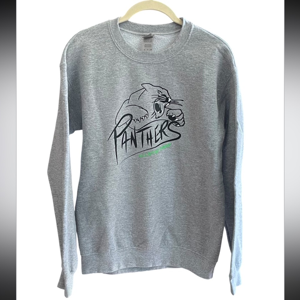 Panthers AllStar Cheer Sweatshirt Gray Size Small